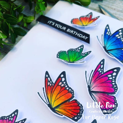 Beautiful Butterflies - Rachel Bruerton Finn