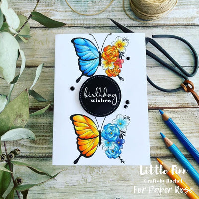 Beautiful Butterflies - Rachel Finn