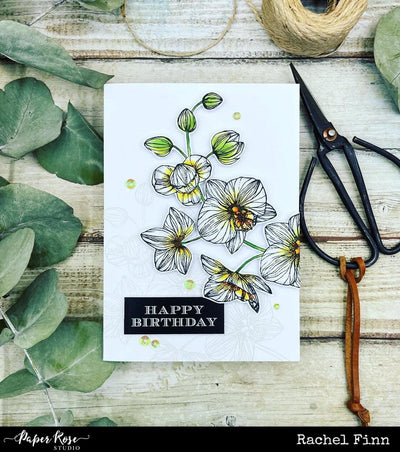 Orchid Bloom Birthday - Rachel Finn