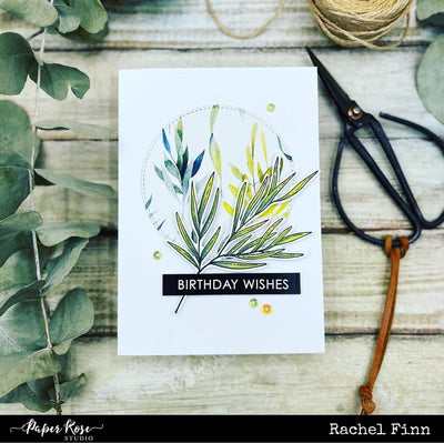 Birthday Wishes - Rachel Finn