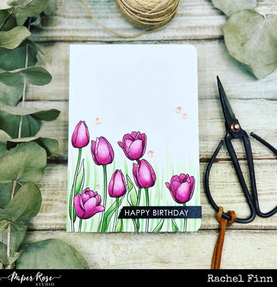 Beautiful Tulips - Rachel Finn