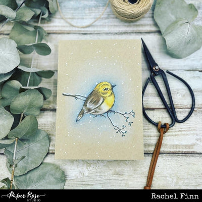 Beautiful Bird - Rachel Finn