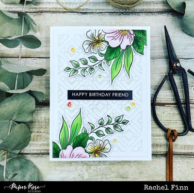 Happy Birthday Friend - Rachel Finn