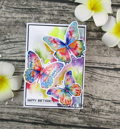 Rainbow Garden Butterflies - Natalie Walsh