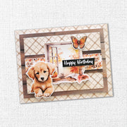 Autumn Florals Basics 6x6 Paper Collection 35448