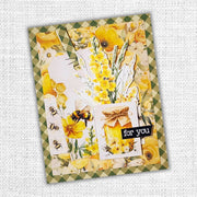 Bees & Butterflies 6x6 Paper Collection 33558 - Paper Rose Studio