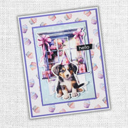 Birthday Fun 6x6 Paper Collection 33279