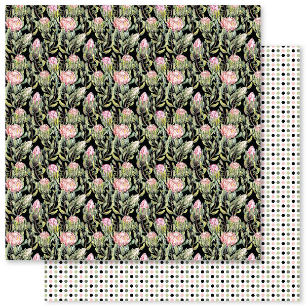 Blooming Proteas B 12x12 Paper (12pc Bulk Pack) 30801 - Paper Rose Studio