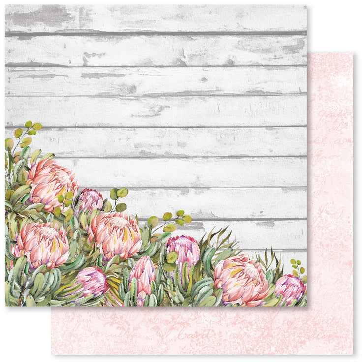 Blooming Proteas C 12x12 Paper (12pc Bulk Pack) 30804 - Paper Rose Studio