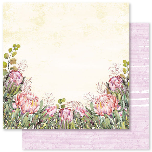 Blooming Proteas E 12x12 Paper (12pc Bulk Pack) 30810 - Paper Rose Studio