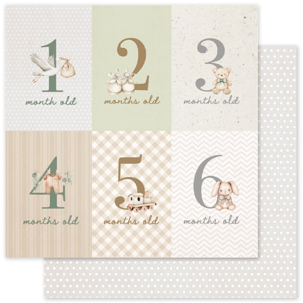 Boho Baby Basics A 12x12 Paper (12pc Bulk Pack) 35104