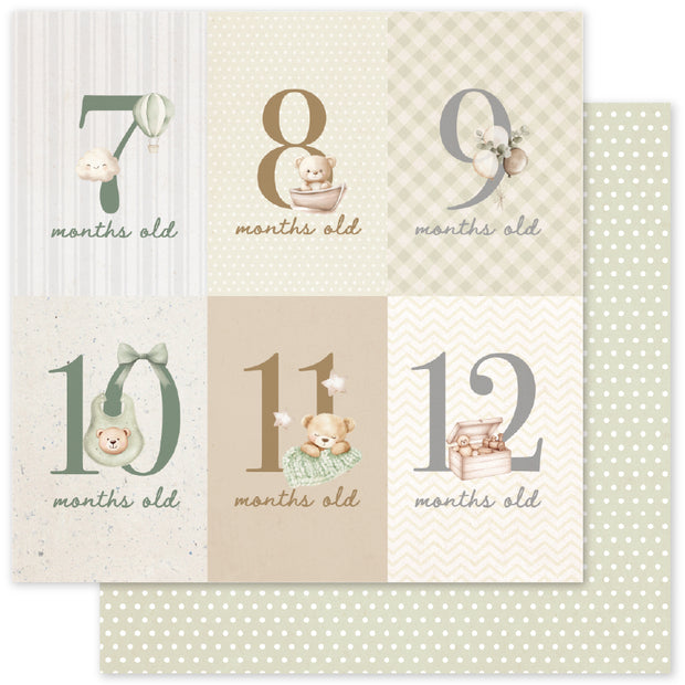 Boho Baby Basics D 12x12 Paper (12pc Bulk Pack) 35113