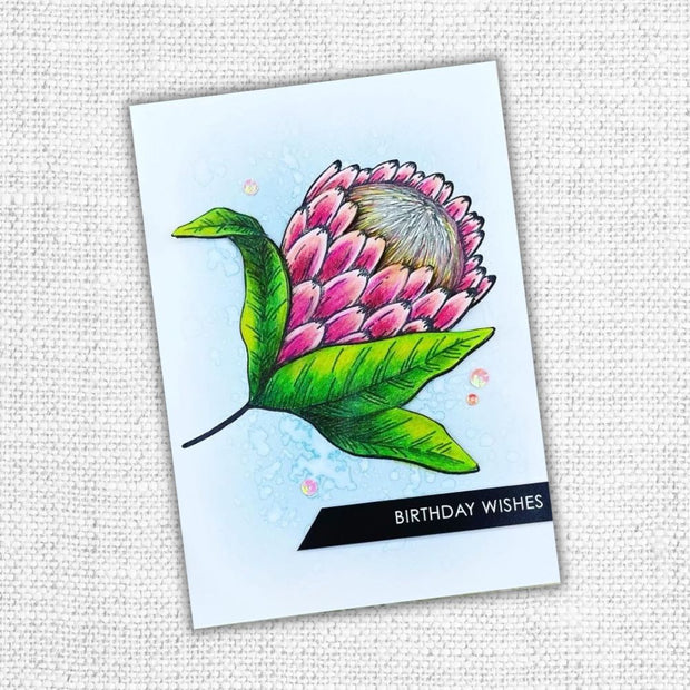 Protea Clear Stamp 28237 - Paper Rose Studio