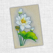 Lotus Bouquet 4x6" Clear Stamp Set 19087 - Paper Rose Studio
