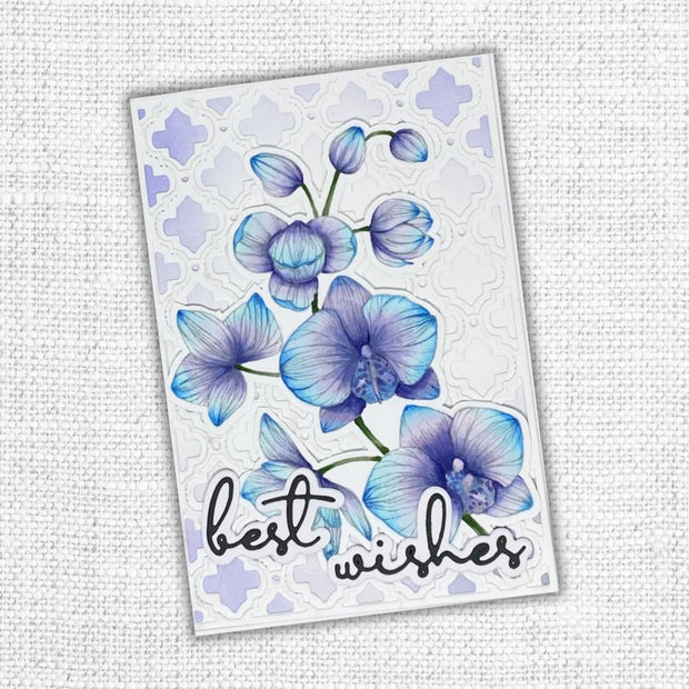 Orchid Bloom Clear Stamp Set 24781 - Paper Rose Studio