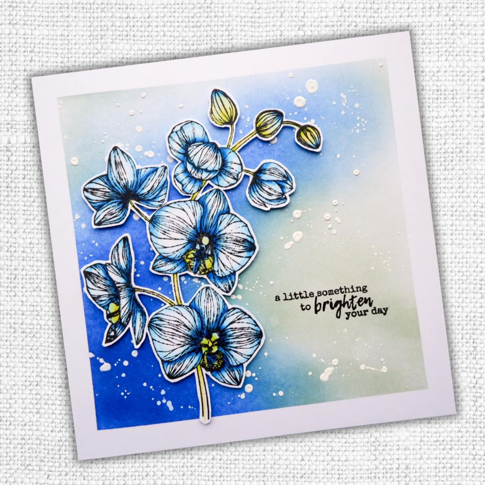 Bloom With Happiness Clear Stamps - Floral Borders & Roses For Card Making & Scrapbooking