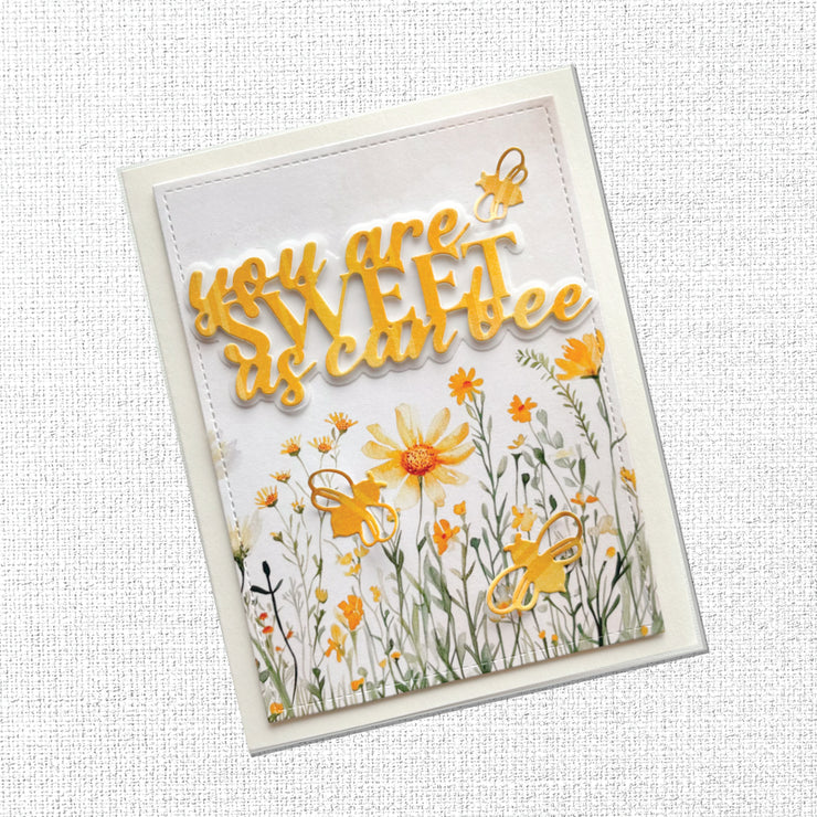 Bees & Butterflies 6x6 Paper Collection 33558