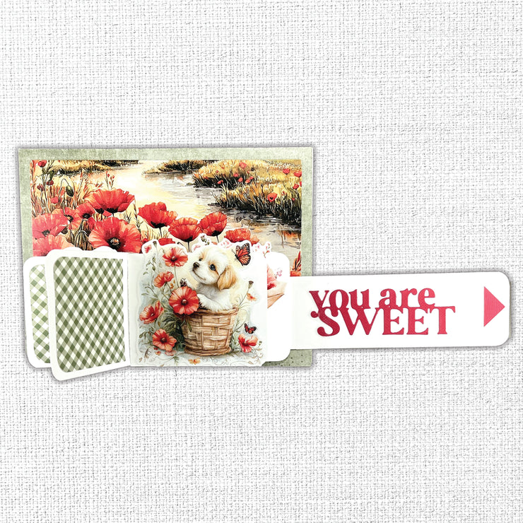 Poppy Garden Basics Embossed Die Cuts 34677 – Paper Rose Studio