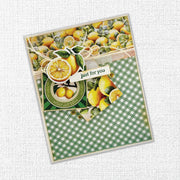 Meadowbrook Farm 6x6 Paper Collection 35016