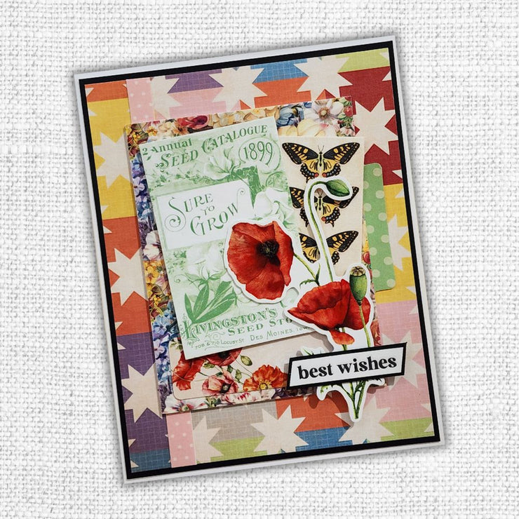 Papercuts Cardmaking Kit - October 2024 - Paper Rose Studio