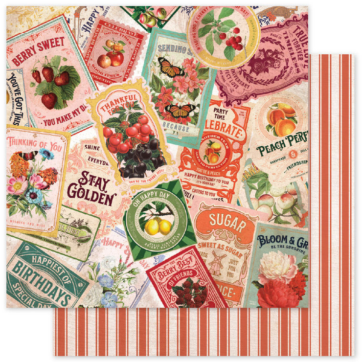 Meadowbrook Farm Basics E 12x12 Paper (12pc Bulk Pack) 35058