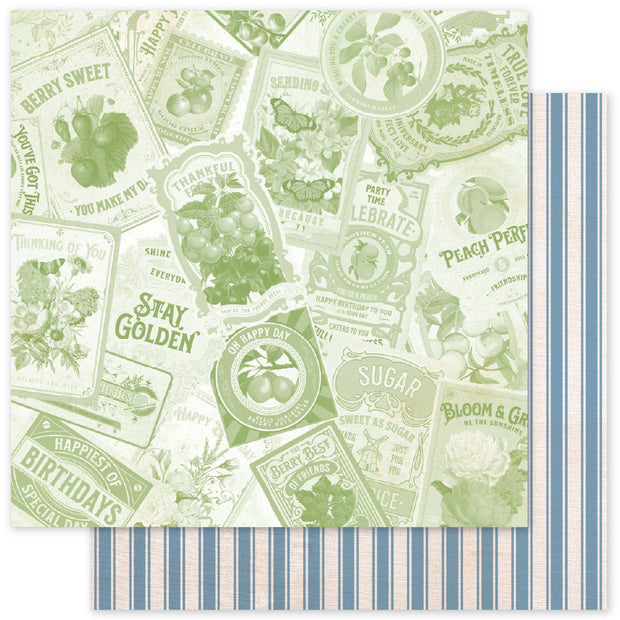 Meadowbrook Farm Patterns E 12x12 Paper (12pc Bulk Pack) 35103