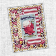 Papercuts Cardmaking Kit - Meadowbrook Farm 35079