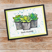 Cactus Wishes Clear Stamp 17892 - Paper Rose Studio
