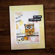 Frankie the Owl Stamp Set 24181 - Paper Rose Studio