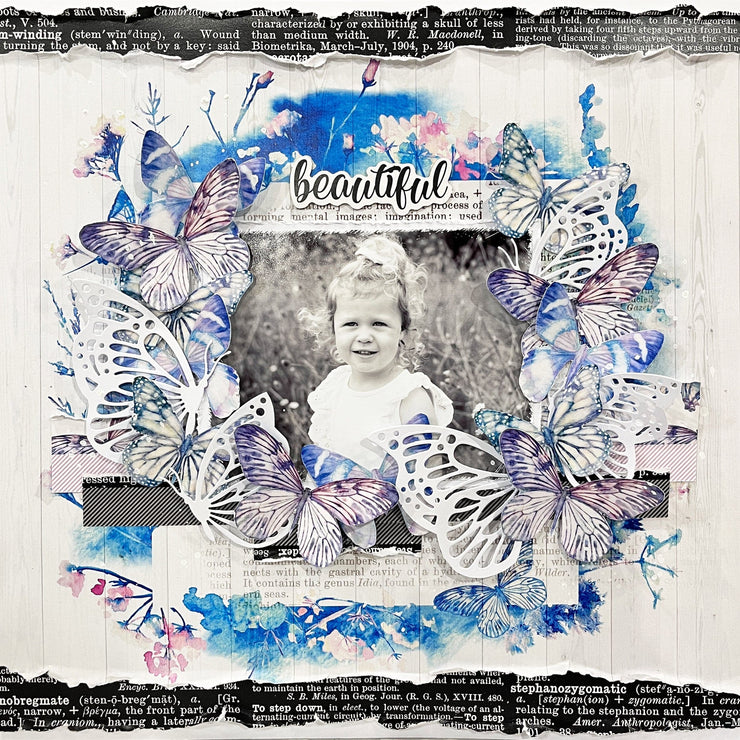 Butterfly Bliss 12x12 Paper Collection 25087 - Paper Rose Studio