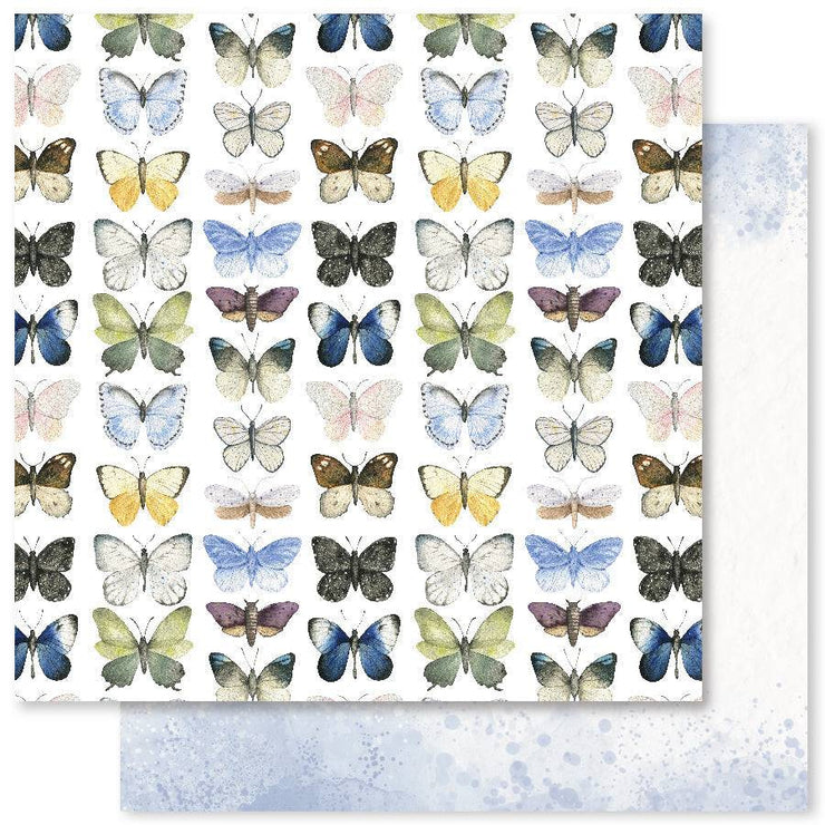 Butterfly Garden A 12x12 Paper (12pc Bulk Pack) 25057 - Paper Rose Studio
