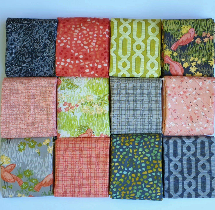 Dandi Annie - Robin Pickens Moda Fat Quarter Pack 12pc (Style A) - Paper Rose Studio