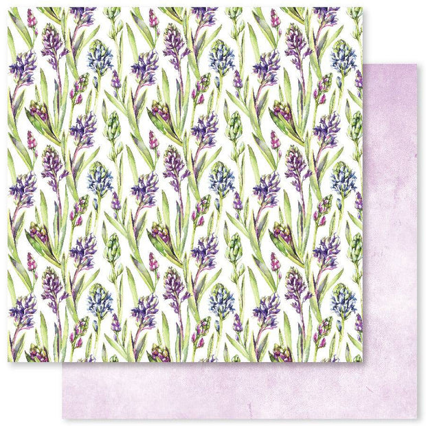 Violet Garden A 12x12 Paper (12pc Bulk Pack) 28366 - Paper Rose Studio