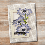 Daisy Bouquet 4x6" Clear Stamp Set 18493 - Paper Rose Studio