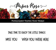 Wish You Were Here Clear Stamp Set 23521 - Paper Rose Studio